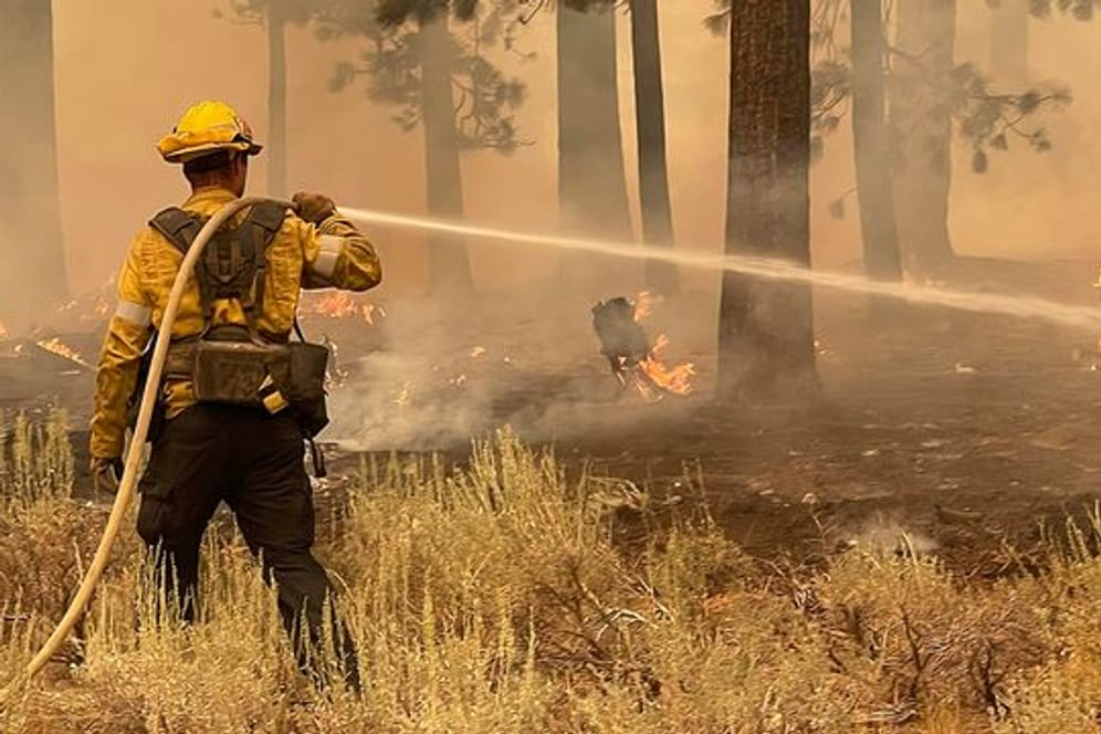 Ein Feuerwehrmann aus Los Angeles County benutzt einen Schlauch, um die Flammen des Caldor-Feuers zu löschen.