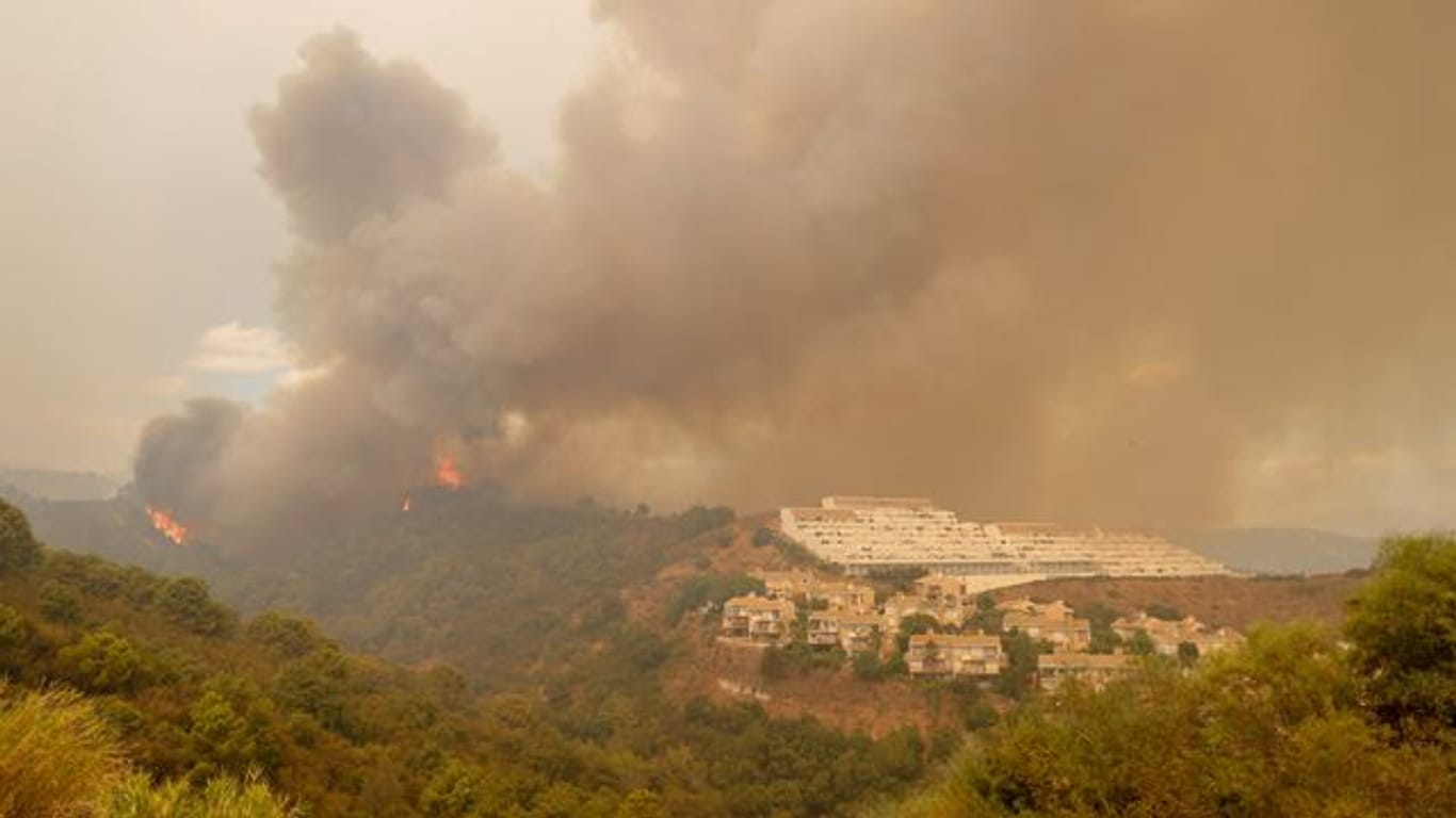 Bäume brennen in der Nähe von Estepona.