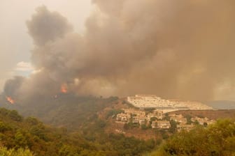 Bäume brennen in der Nähe von Estepona.