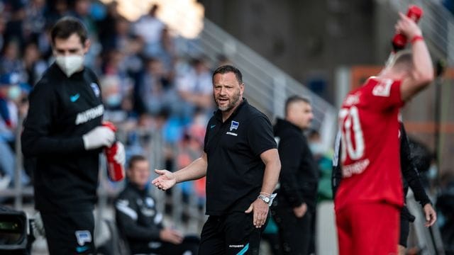 Herthas Trainer Pal Dardai (M) hält sich während der Partie beim VfL Bochum in der markierten Coaching-Zone auf.