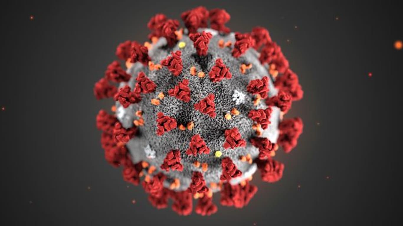Je "schöner" eine bildliche Darstellung des Coronavirus ausfällt, als desto weniger ansteckend wird das Virus empfunden.