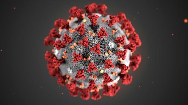 Je "schöner" eine bildliche Darstellung des Coronavirus ausfällt, als desto weniger ansteckend wird das Virus empfunden.