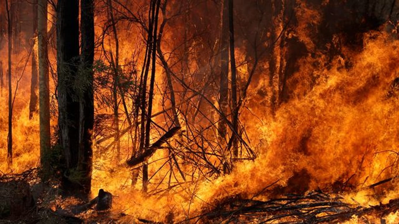 Waldbrände - wie hier in Australien - und andere Naturereignisse gefährden vor allem Menschen, die nicht sozial abgesichert sind.