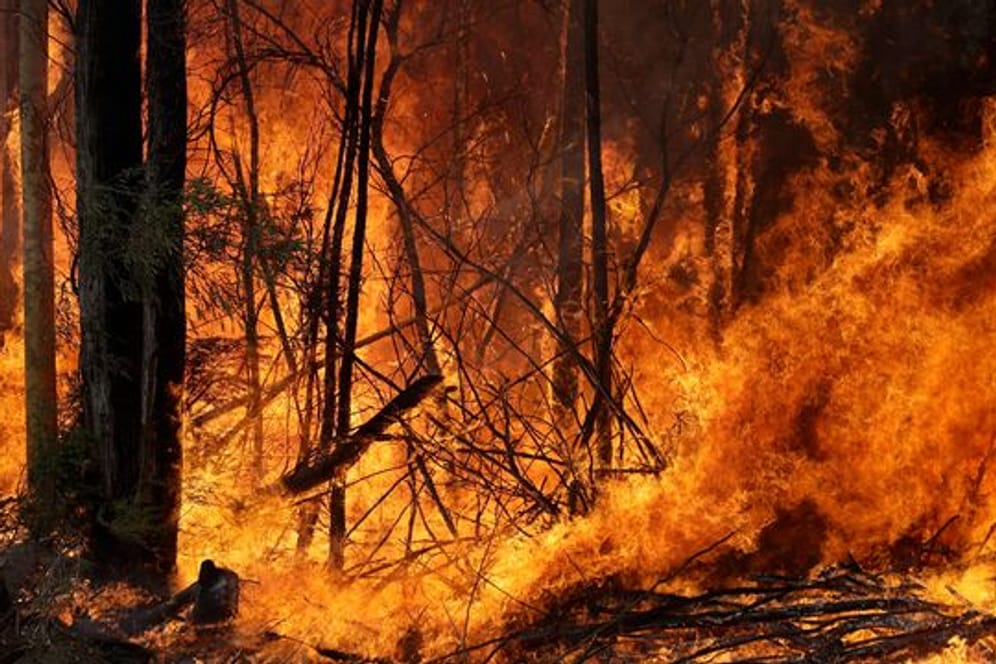 Waldbrände - wie hier in Australien - und andere Naturereignisse gefährden vor allem Menschen, die nicht sozial abgesichert sind.