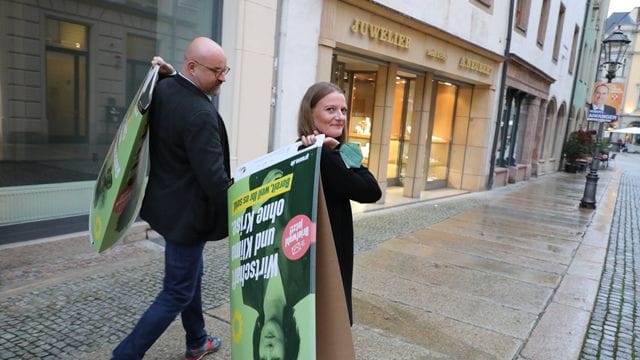 Wolfgang Wetzel, (l) Spitzenkandidat der Grünen und Christin Furtenbacher, Landesvorstandssprecherin der Grünen in Sachsen, laufen mit Wahlplakaten durch die Innenstadt von Zwickau. Wolfgang Wetzel, (l) Spitzenkandidat der Grünen und Christin Furtenbacher, Landesvorstandssprecherin der Grünen in Sachsen, laufen mit Wahlplakaten durch die Innenstadt von Zwickau.