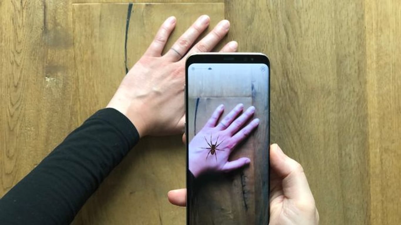 Eine App zeigt eine virtuelle Spinne auf einer Hand.