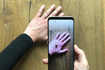 Eine App zeigt eine virtuelle Spinne auf einer Hand.