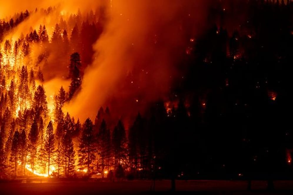 Die Flammen des Dixie-Feuers in Genesee, Kalifornien im August.