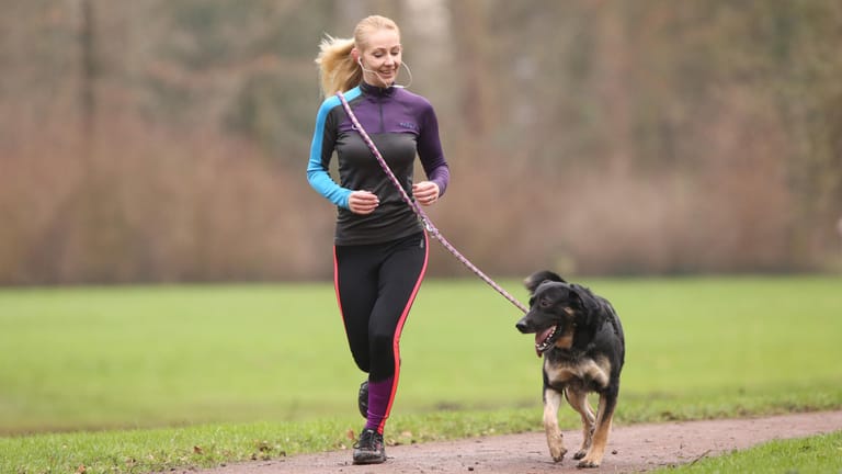 Hund: Wer mit etwas Planung an die Sache herangeht, hat an gemeinsamen Joggingrunden mit seinem Hund viel Freude.