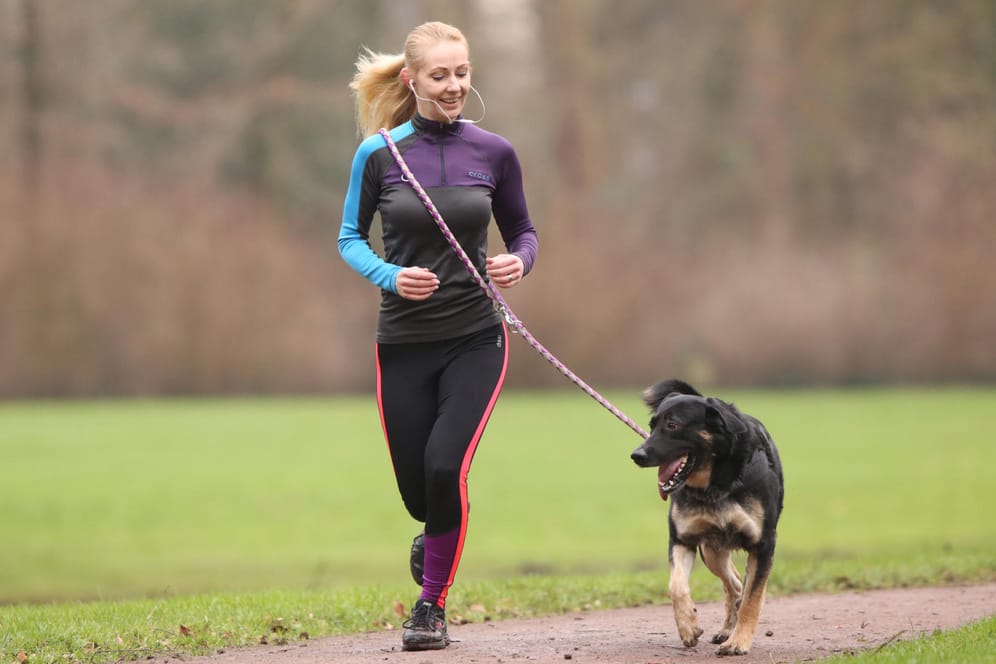 Hund: Wer mit etwas Planung an die Sache herangeht, hat an gemeinsamen Joggingrunden mit seinem Hund viel Freude.