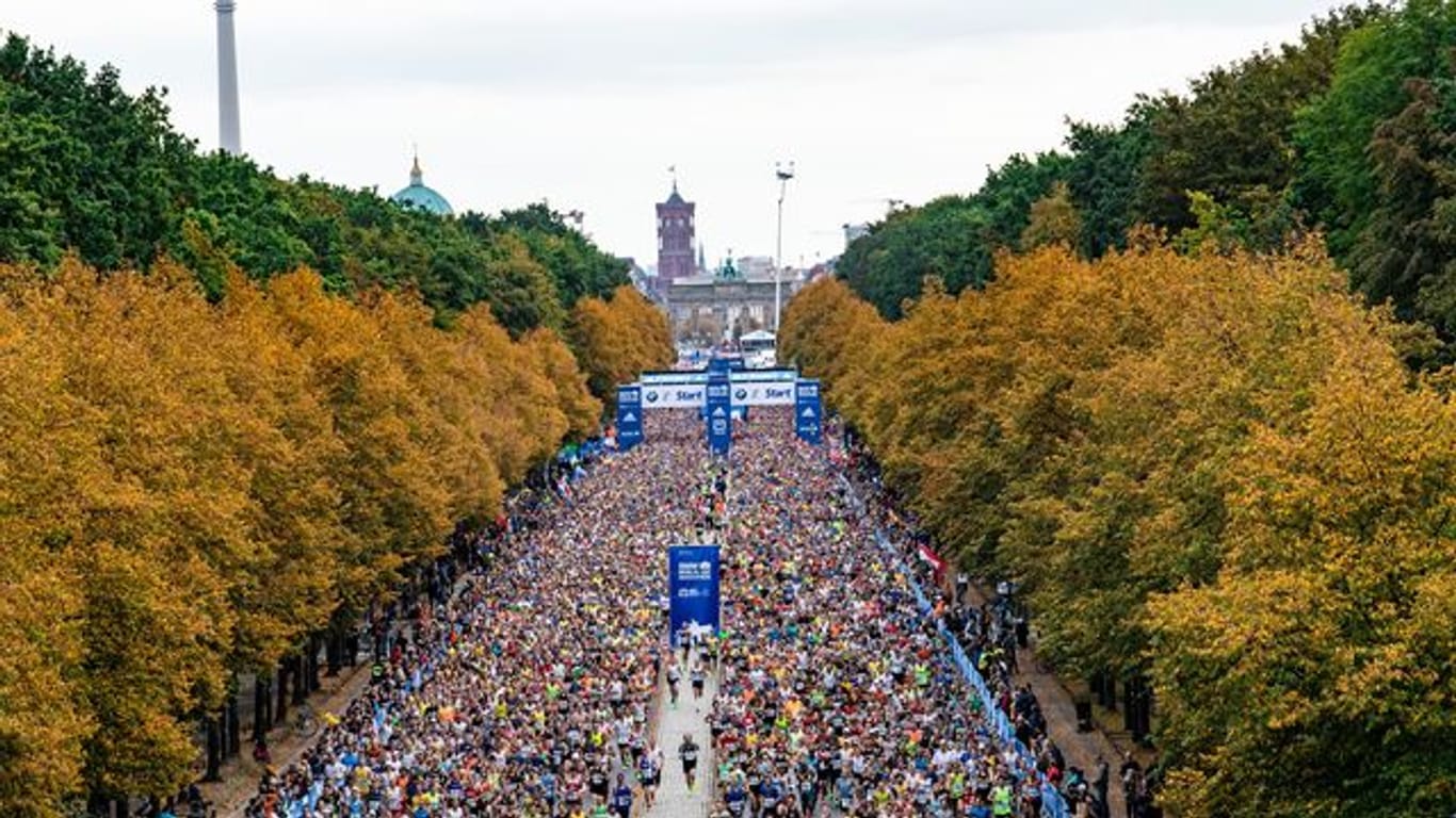 Das Teilnehmerfeld beim Berlin-Marathon 2019.