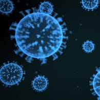 Virus-Illustration: Gelockerte Corona-Maßnahmen führen laut dem Chef der Sächsischen Impfkommission auch zu stärkerer Ausbreitung anderer Erreger.