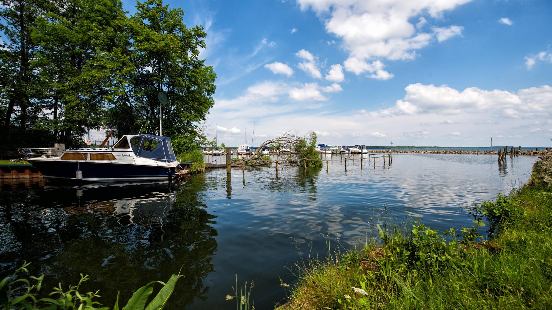 Die Müritz ist ein Binnengewässer in Mecklenburg-Vorpommern (Archivbild). Ein Segler kam nach einem Sturm hier ums Leben. Die Müritz ist ein Binnengewässer in Mecklenburg-Vorpommern (Archivbild). Ein Segler kam nach einem Sturm hier ums Leben.