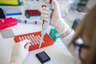 Eine Laborantin führt einen PCR-Test durch (Symbolbild). Die Infektionszahlen in Deutschland verändern sich derzeit nur leicht.