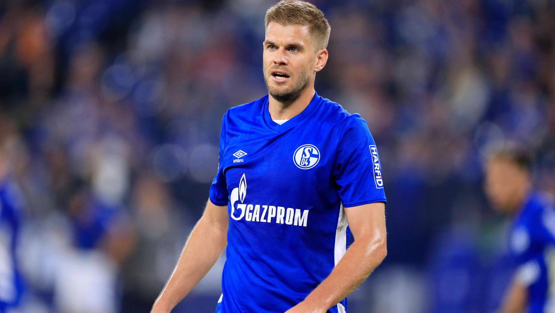 Verlässlicher Torjäger: Simon Terodde trifft in der 2. Liga auch für Schalke 04 regelmäßig.