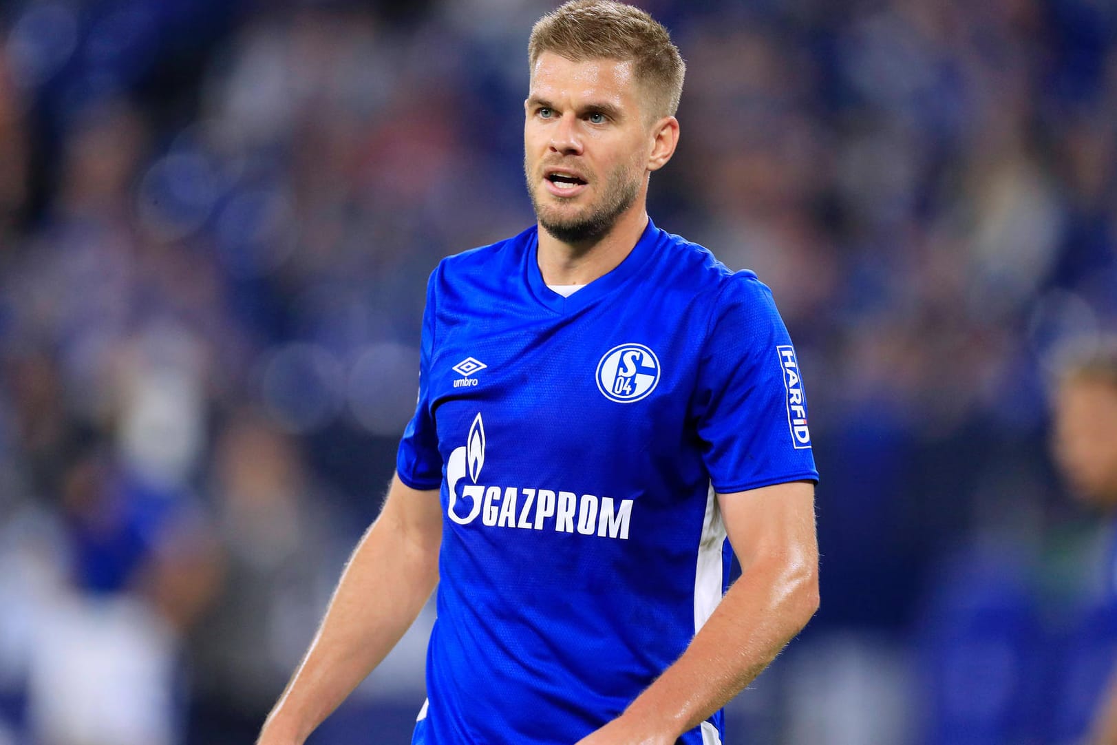 Verlässlicher Torjäger: Simon Terodde trifft in der 2. Liga auch für Schalke 04 regelmäßig.