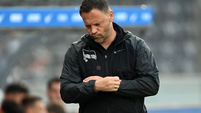Pal Dardai Pal Dardai