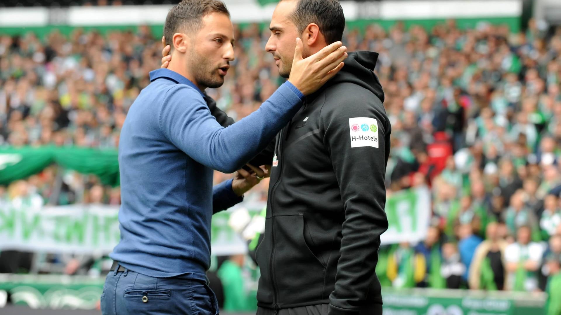 Alexander Nouri und Domenico Tedesco (l.): Beide Trainer sind sich einst in der Bundesliga begegnet. t-online sagt Ihnen, welche Coaches auf eine neue Anstellung in der Welt des Fußballs warten. Bremen FC Schalke 04 am 16 09 2017 im Weserstadion in