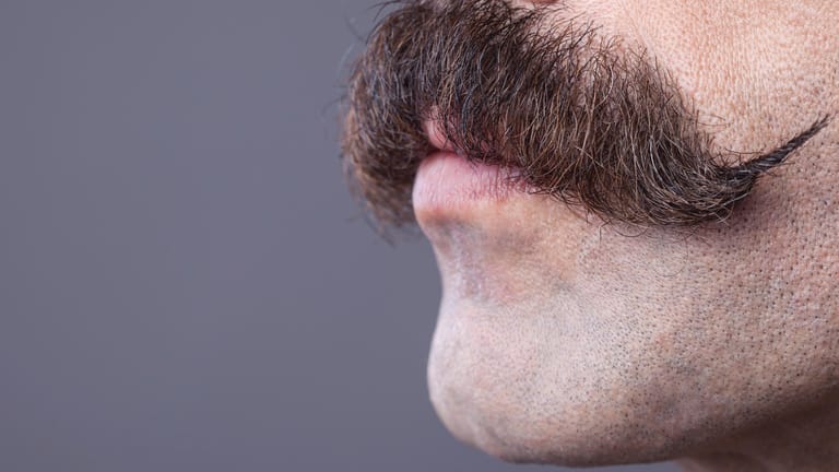 Schnurrbart: Der "Movember" ist eine Art Aufklärungskampagne.
