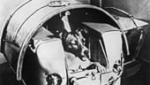 Die damals zweijährige Mischlingshündin Laika wurde 1957 von der Sowjetunion als erstes Lebewesen in die Umlaufbahn der Erde geschickt.