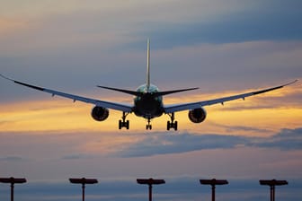 Ein Flugzeug bei der Landung (Symbolbild): Die Luftfahrt will klimaneutral werden.