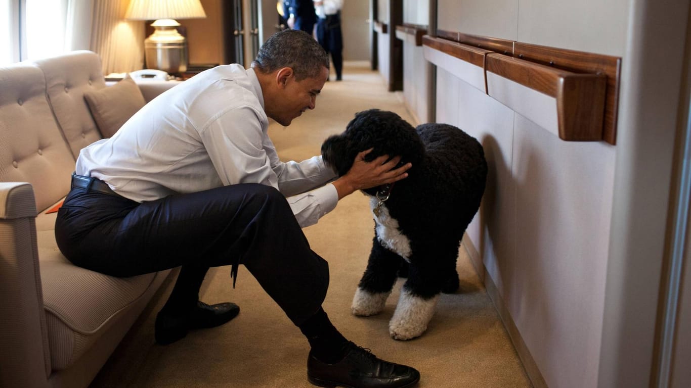 Ex-Präsident Obama mit seinem Hund: Bo lebte von 2008 bis 2021.