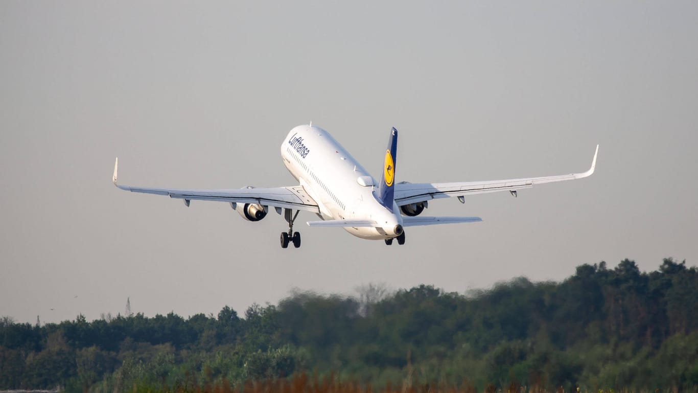 Grüner Fliegen (Symbolbild): Die Lufthansa will große Mengen grünes Kerosin abnehmen.