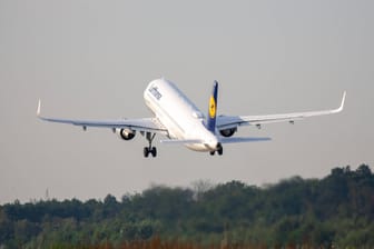 Grüner Fliegen (Symbolbild): Die Lufthansa will große Mengen grünes Kerosin abnehmen.