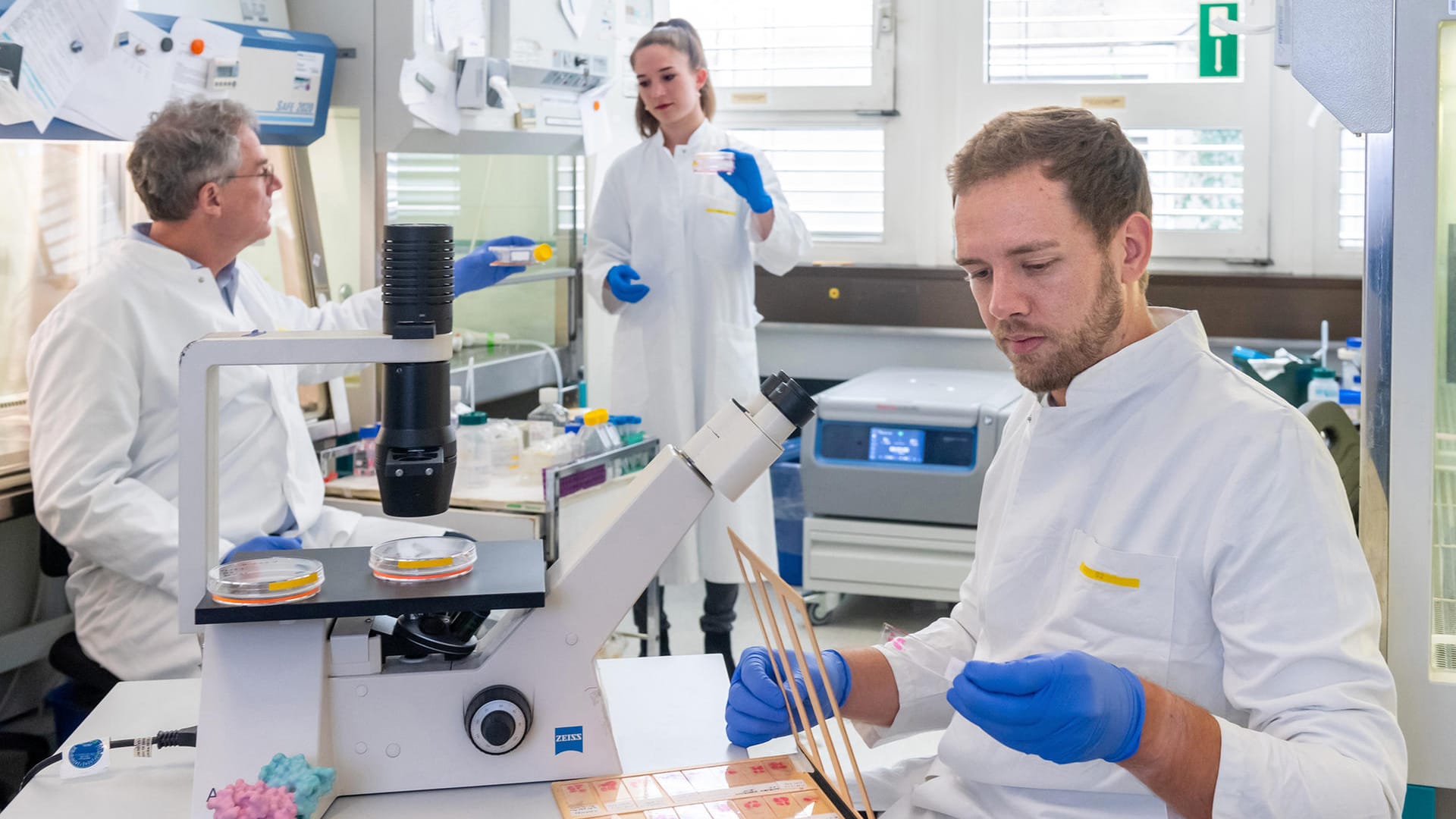 Prof. Dr. Achim Krueger, Celina Eckfeld und Chris D. Hermann in ihrem Labor im Klinikum rechts der Isar der Technischen Universität München: Das Forscherteam hat neue wichtige Erkenntnisse in der Krebsforschung gewonnen.