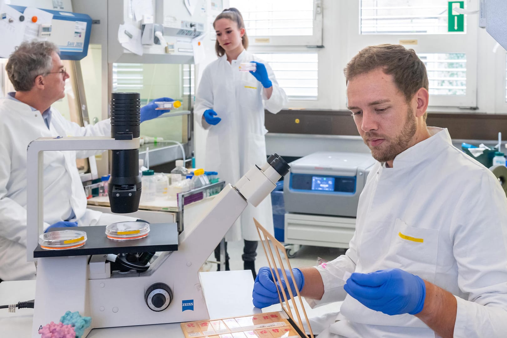 Prof. Dr. Achim Krueger, Celina Eckfeld und Chris D. Hermann in ihrem Labor im Klinikum rechts der Isar der Technischen Universität München: Das Forscherteam hat neue wichtige Erkenntnisse in der Krebsforschung gewonnen.