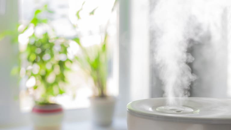 Luftbefeuchter helfen gegen trockene Luft: Nicht alle Modelle stoßen dabei eine Dampfwolke aus.