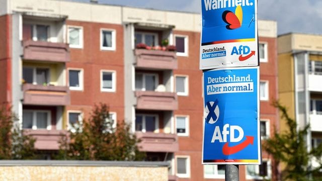 AfD-Wahlplakat