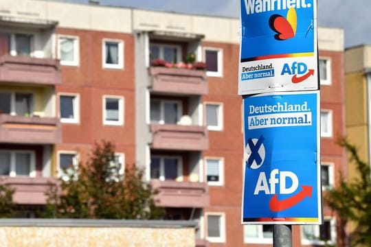 AfD-Wahlplakat