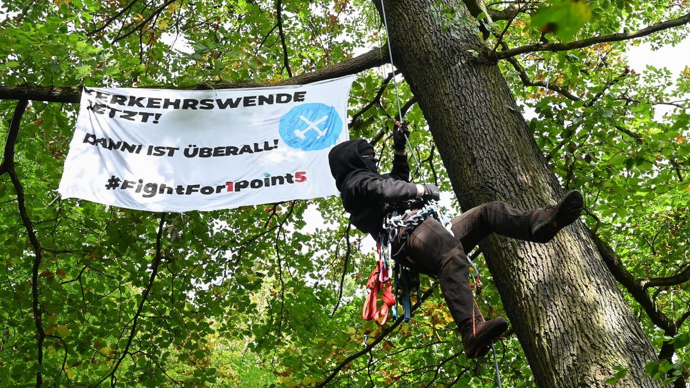 "Verkehrswende jetzt": Eine Aktivistin klettert in einem Wald am Teufelsbruch im Osten Frankfurts auf einen Baum.
