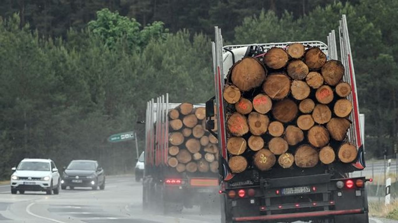 Holztransport