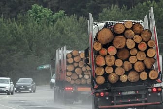 Holztransport