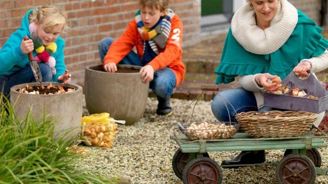 Töpfe und Schalen mit Zwiebelblumen: Die Zwiebeln kommen in mehreren Lagen in die Gefäße.