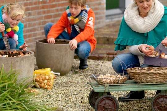 Töpfe und Schalen mit Zwiebelblumen: Die Zwiebeln kommen in mehreren Lagen in die Gefäße.