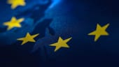 EU: Die Europäische Union wurde für ihren mehr als sechs Jahrzehnte währenden Beitrag für Frieden, Demokratie und Menschenrechte in Europa mit dem Preis im Jahr 2012 ausgezeichnet.