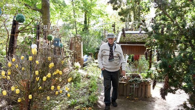 Fritz Hundt läuft an einem Strauch vorbei, der mit Verpackungen für Spielzeug geschmückt ist: Seit 40 Jahren verschönern er und seine Frau die Rasenfläche. Fritz Hundt läuft an einem Strauch vorbei, der mit Verpackungen für Spielzeug geschmückt ist: Seit 40 Jahren verschönern er und seine Frau die Rasenfläche.