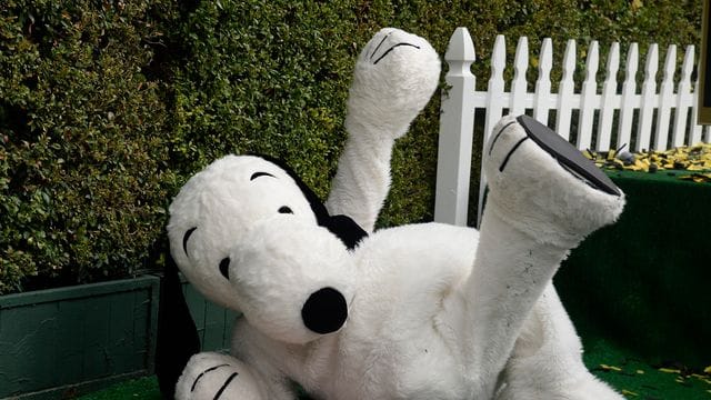 Ein plüschiger Snoopy liegt neben seinem Stern auf dem Hollywood Walk of Fame in Los Angeles. Ein plüschiger Snoopy liegt neben seinem Stern auf dem Hollywood Walk of Fame in Los Angeles.