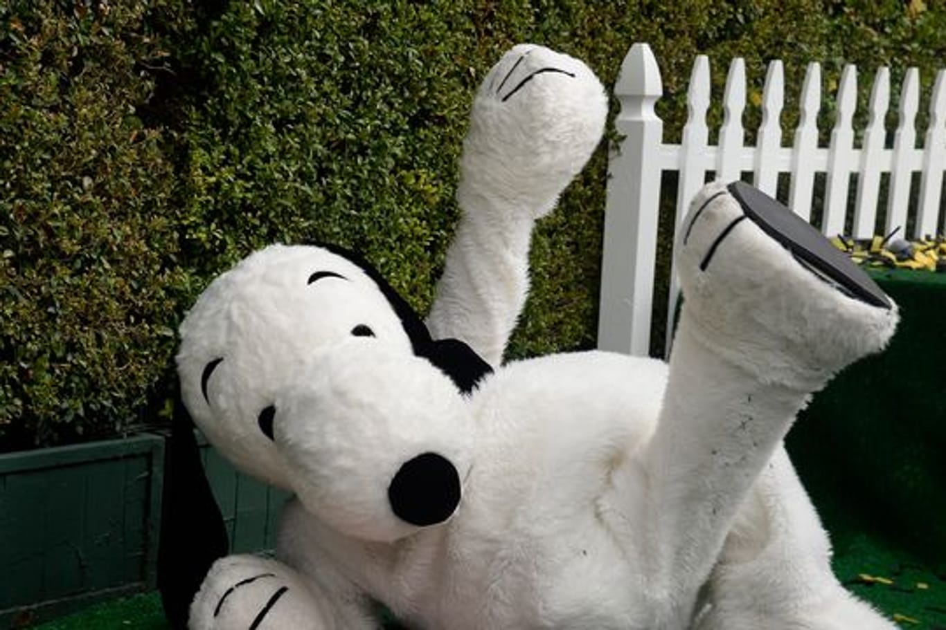 Ein plüschiger Snoopy liegt neben seinem Stern auf dem Hollywood Walk of Fame in Los Angeles.