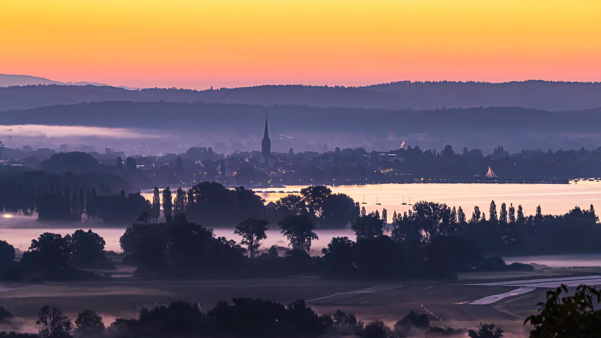 Bodensee: Herbstnebel im Naturschutzgebiet Zeller Aachried bei Radolfzell.