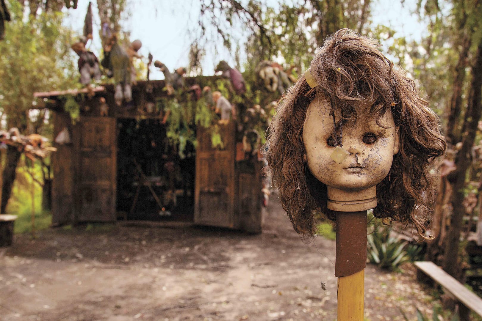 Mexikos Puppeninsel: Der Legende nach wurden rund 1.000 Puppen aufgehängt.