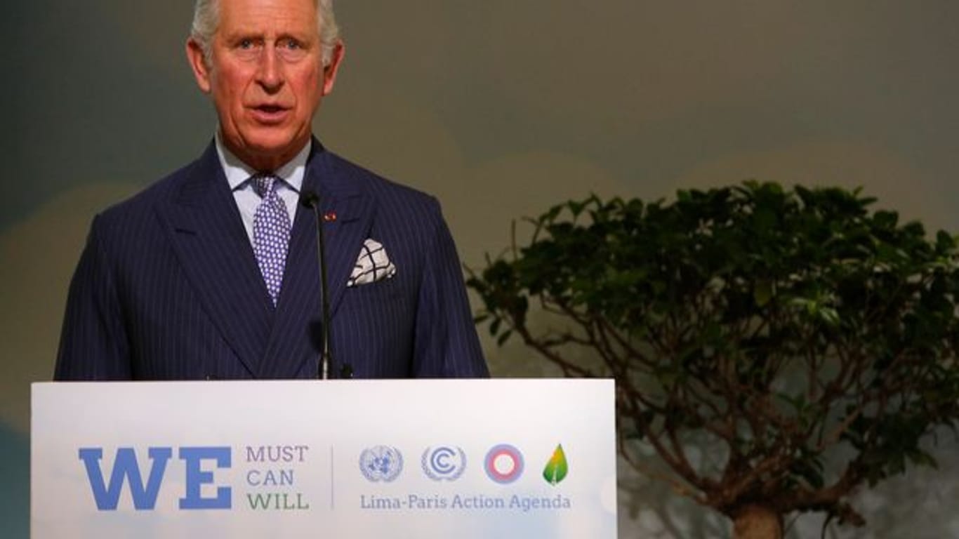 Der britische Prinz Charles bei einer Rede auf der UN-Klimakonferenz COP21 in Le Bourget 2015.