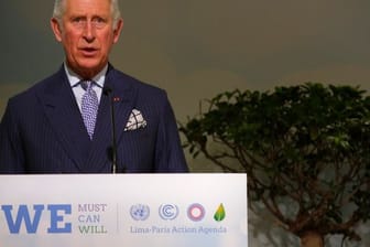 Der britische Prinz Charles bei einer Rede auf der UN-Klimakonferenz COP21 in Le Bourget 2015.