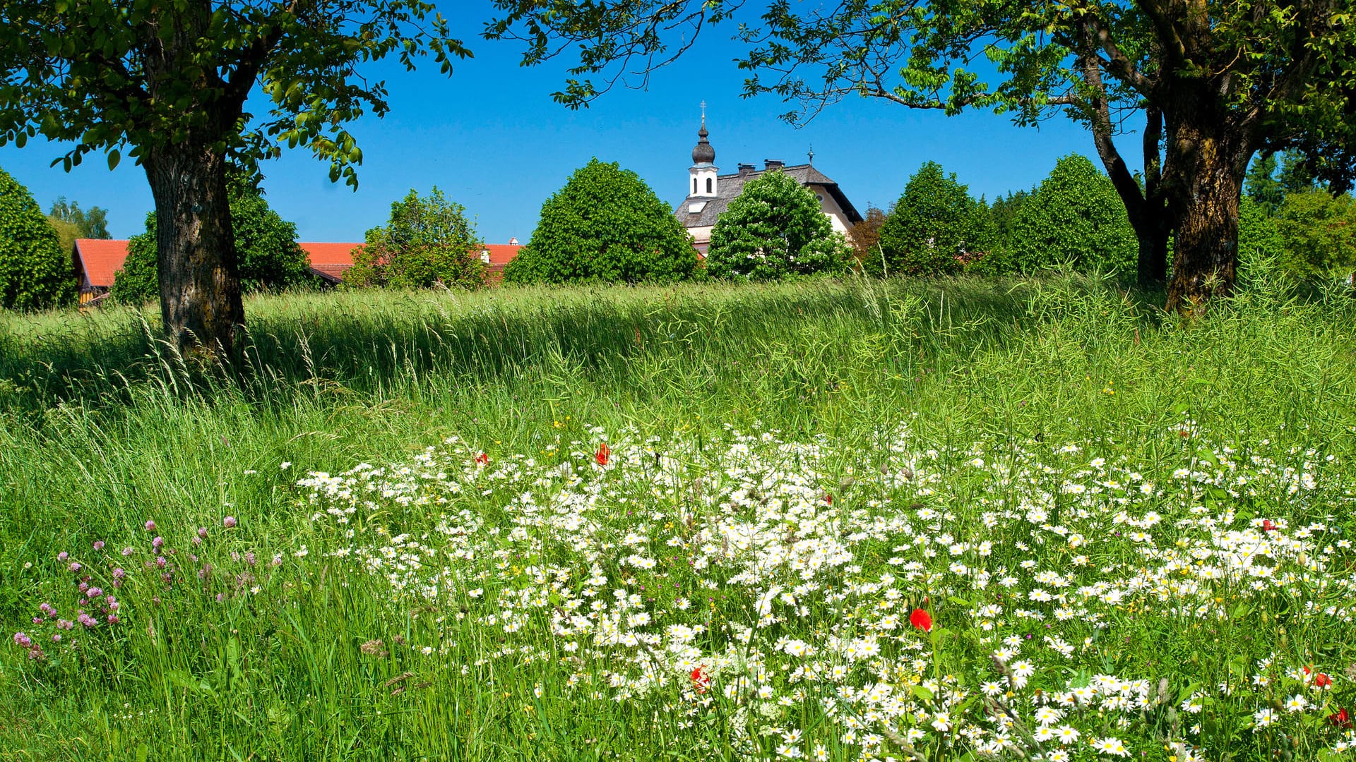 Trostberg: In der Nähe eines ehemaligen Klosters befindet sich Schloss Schedling.