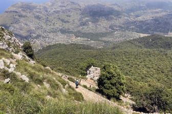 Trockenmauerweg: Mallorcas schönster Weitwanderweg führt wie hier in der Hochebene von L'Ofre immer wieder durch einsame Berglandschaften.