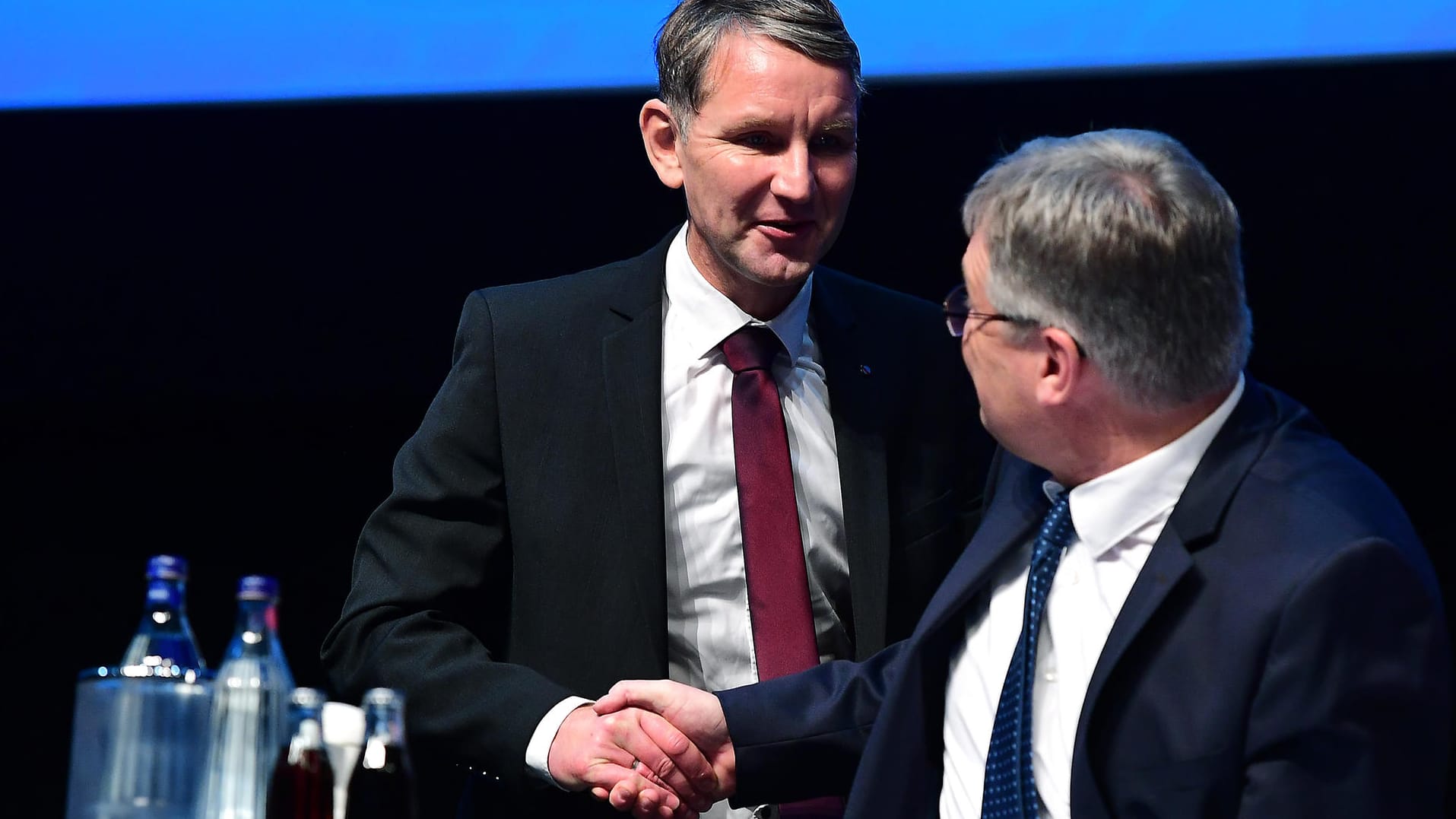 Björn Höcke (l.) und Jörg Meuthen 2019 beim Parteitag in Braunschweig: Man arrangiert sich.