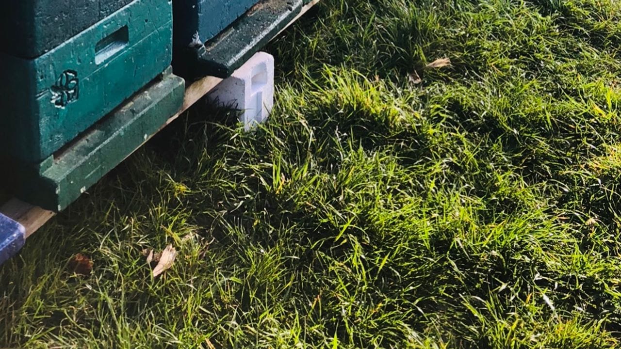 Am frühen Morgen schon in der Natur gearbeitet zu haben, erfüllt die ausgebildete Imkerin Chiara Köser besonders. Am frühen Morgen schon in der Natur gearbeitet zu haben, erfüllt die ausgebildete Imkerin Chiara Köser besonders.